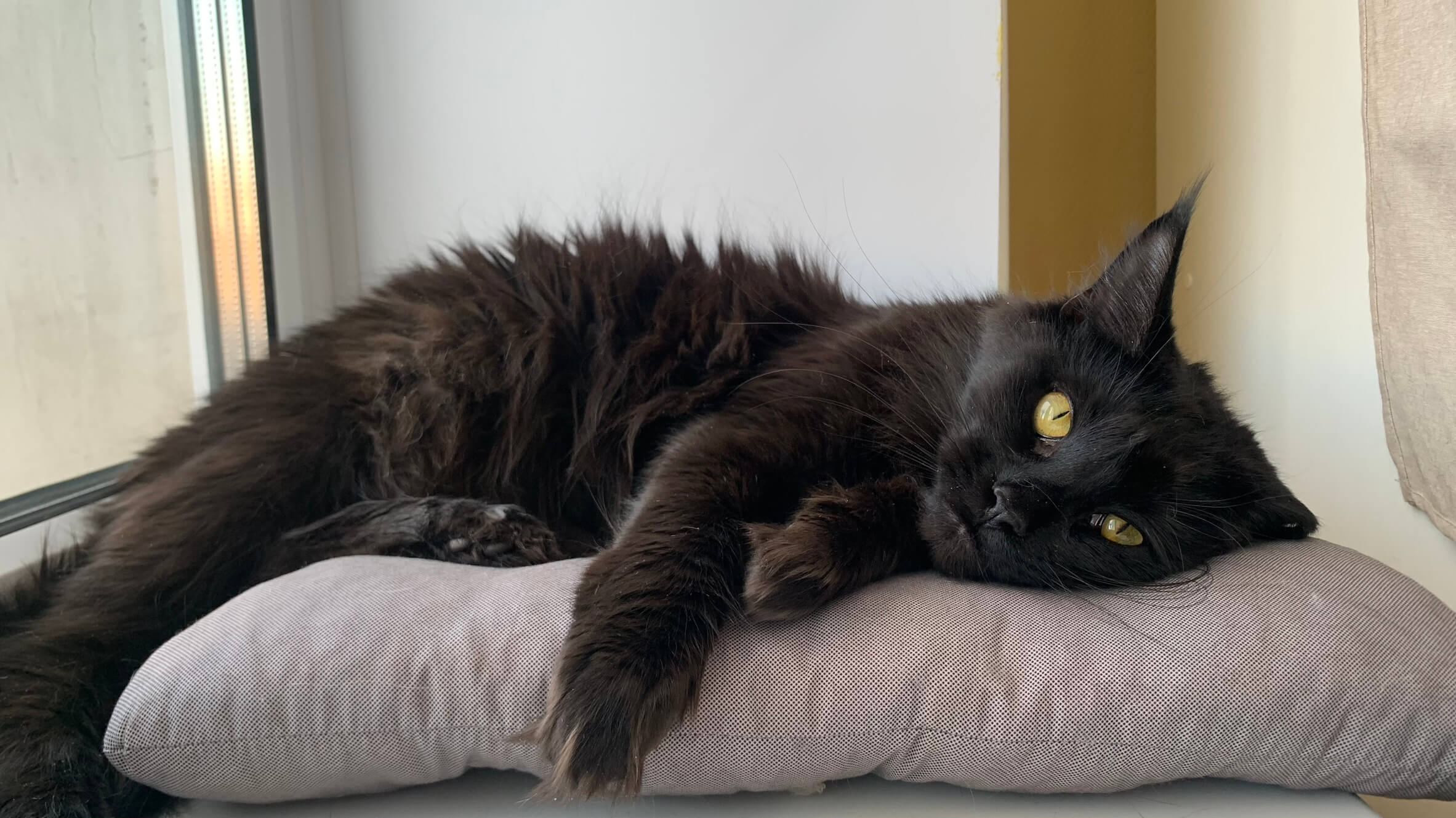 Рыська, 12.08.2021 — 28.05.2025